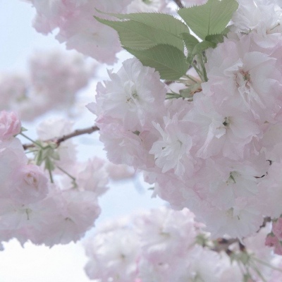 Furry插画光影营造FurryQQ群